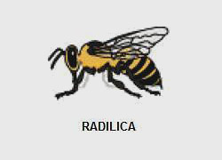 Radilica